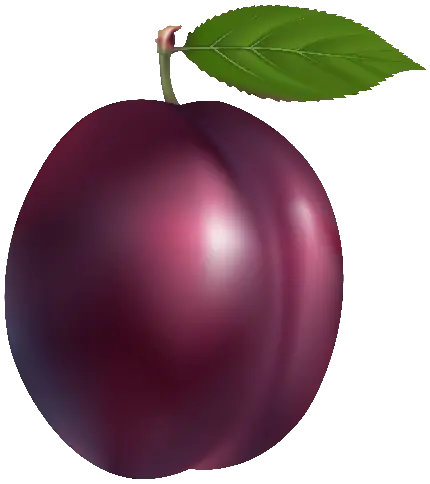 Free Plum PNG Images with Transparent Background - Download Now