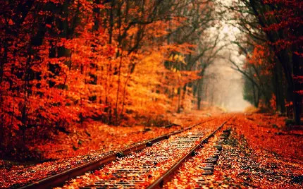 Download Autumn HD Wallpapers for Desktop and Laptop