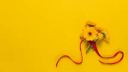 Stunning 4K Wallpapers For Computers And Laptops