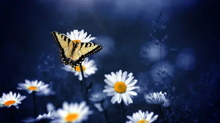 Collection of Beautiful and Fantasy Flowers for Wallpapers and Profiles