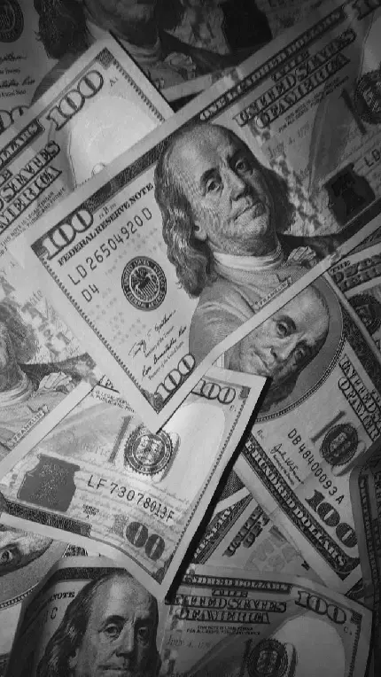 Photo of 100 Dollars for Profile