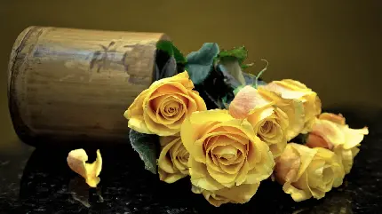 Stunning Flower Wallpapers Collection in Full HD for Free Download