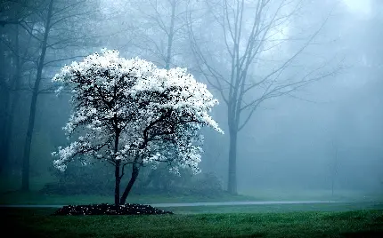 Download 45 Stunning Nature Photos from Around the World in Full HD