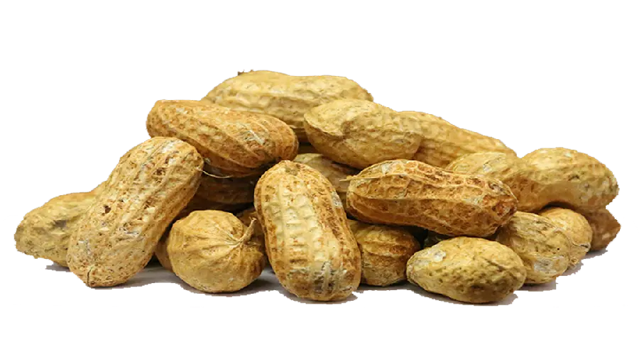 Full hd quality peanut image