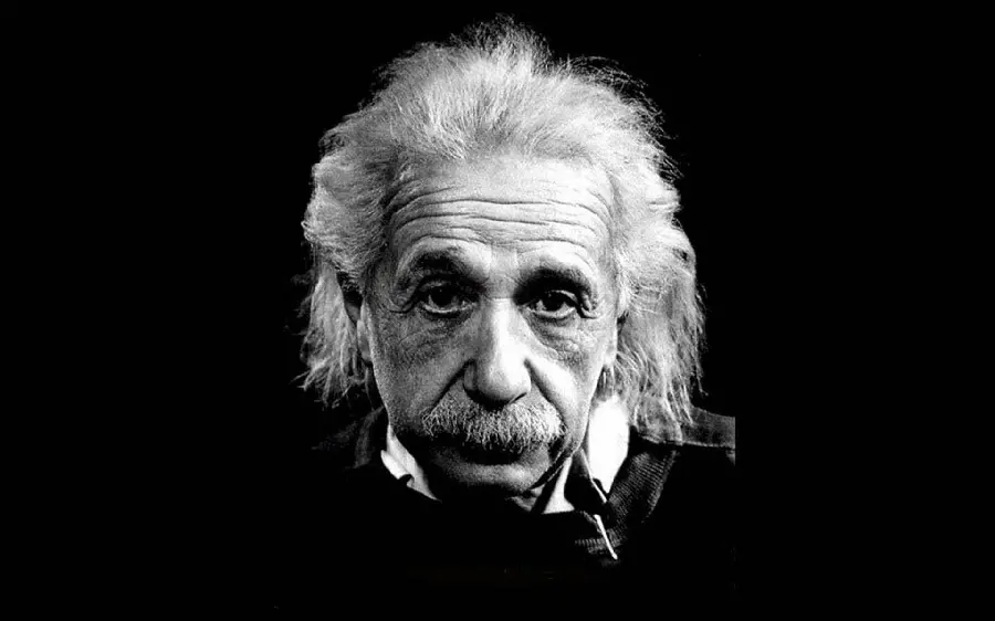 A special portrait of the great physicist of the 20th century, Einstein, for the computer
