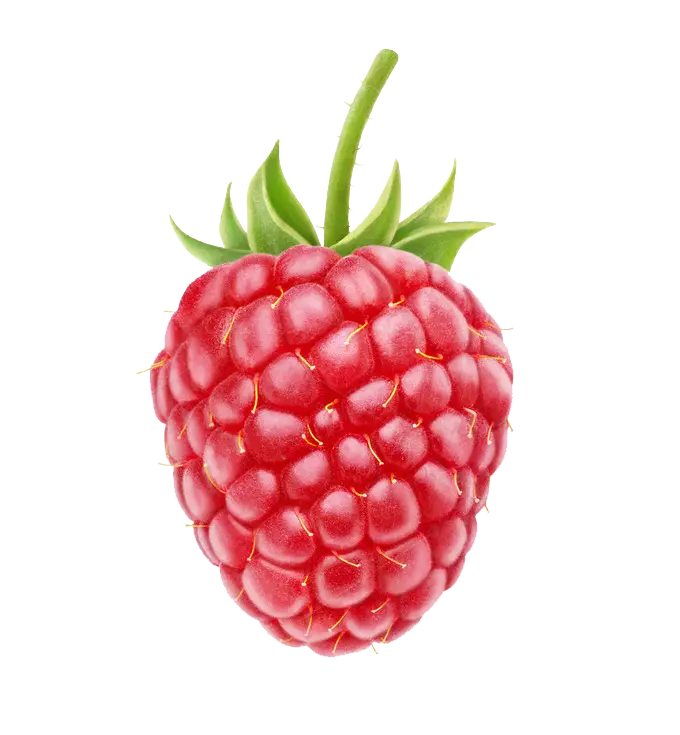 Beautiful Image of a Beautiful Red Raspberry Rounded and High Quality 