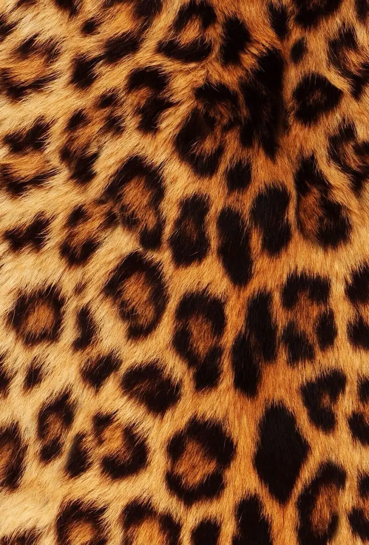 Download leopard skin texture for background