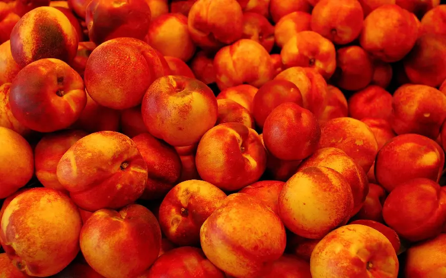 Beautiful and free poster of red and tempting peach fruit suitable for advertising use