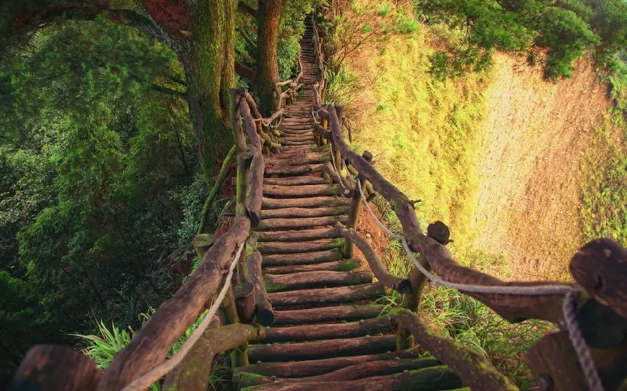 A wonderful picture of a suspension bridge between two valleys 