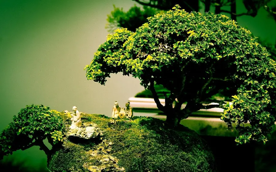  Photo of a bonsai tree with small and spectacular sculptures under it 