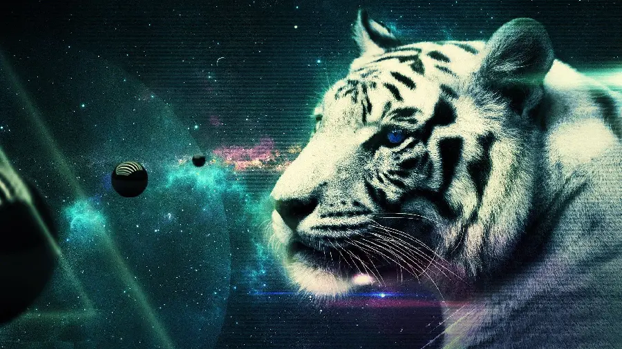 Digitally edited profile picture of a beautiful tiger in space and in the heart of galaxies