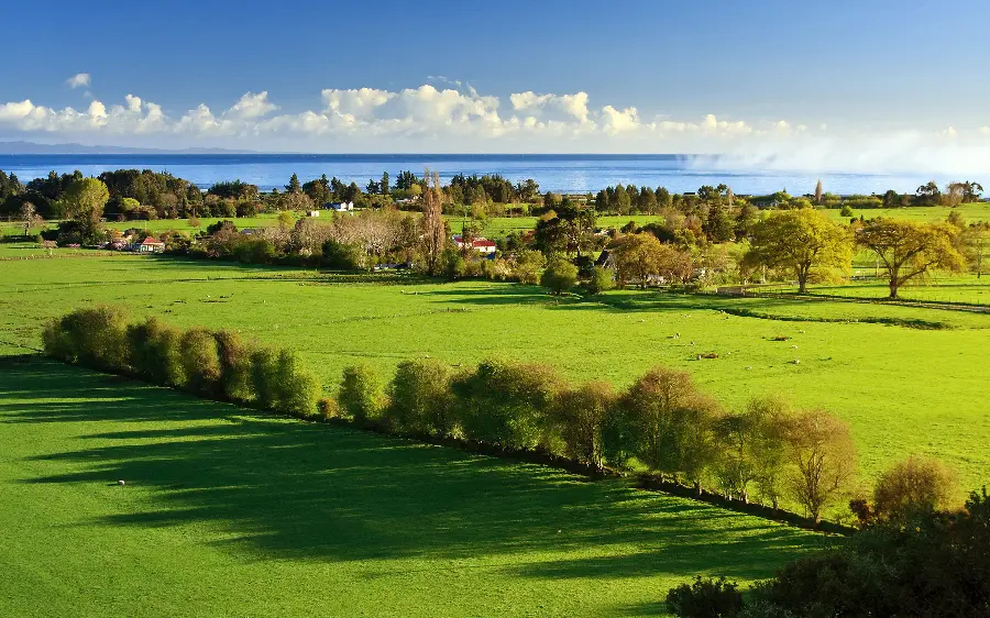Download a very beautiful and interesting image of a green and beautiful head 