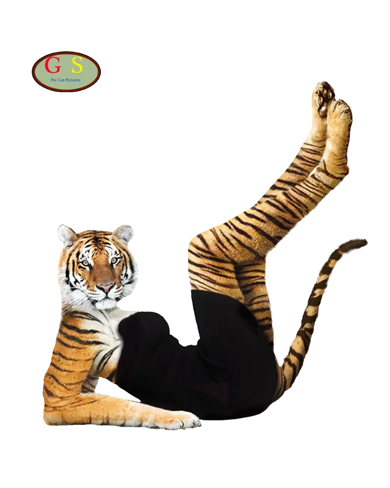 Human-drawn tiger image in PNG format downloaded for free 