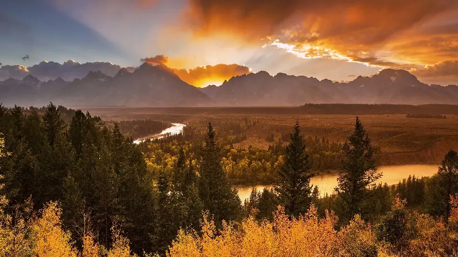 High quality and free nature stock photos
