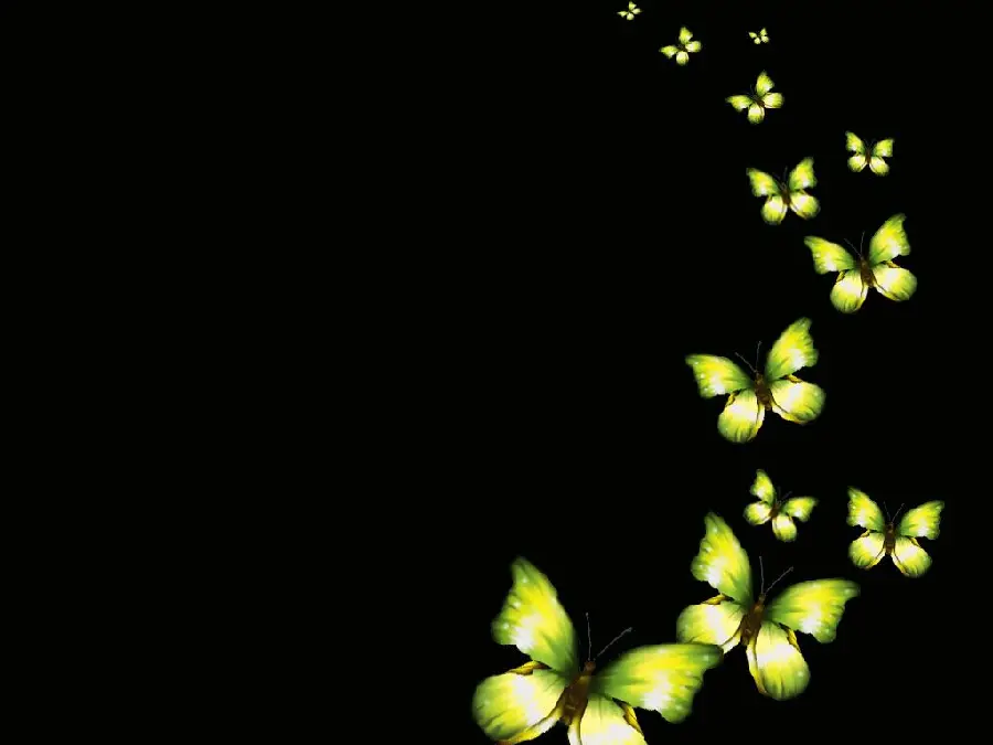 Yellow butterfly wallpaper for computer wallpaper 
