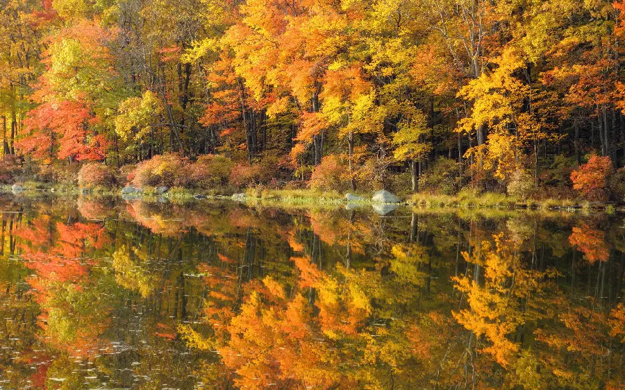 The most special autumn wallpaper for the autumn season of computers and laptops 