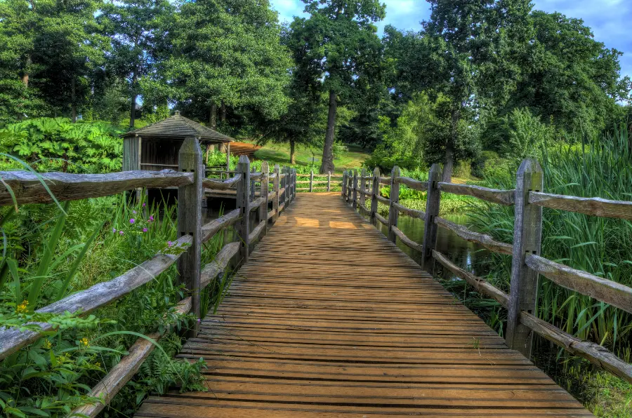 Scenic Profile Photo of Bridge and Wooden Hut in the lap of Nature