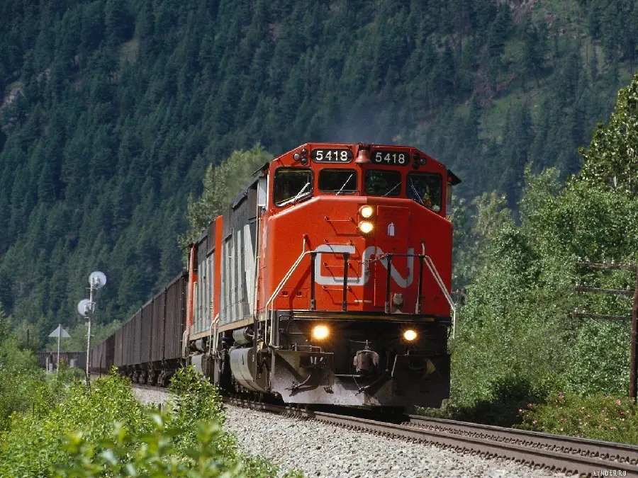 A beautiful red locomotive profile on a train track passing through green nature