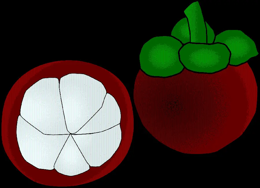 Computer Drawing of Targil Fruit PNG with Black Background