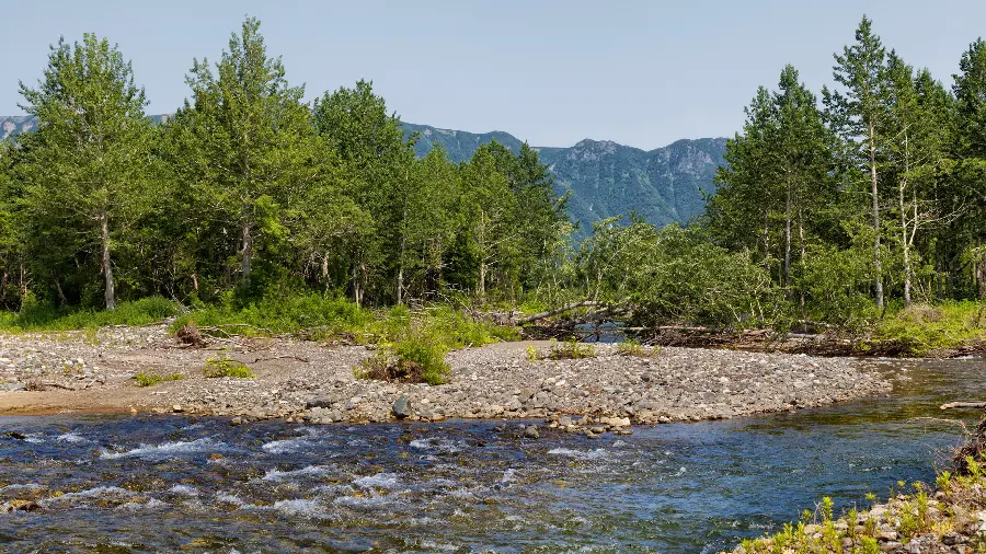 Free download of clean nature image of river and trees