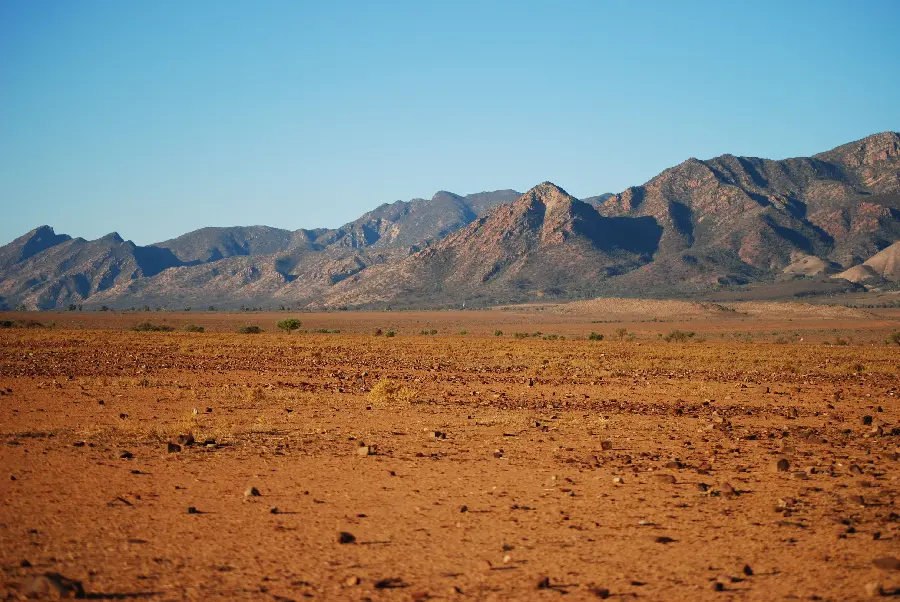 Image of a dry, waterless desert and grass for research on deserts