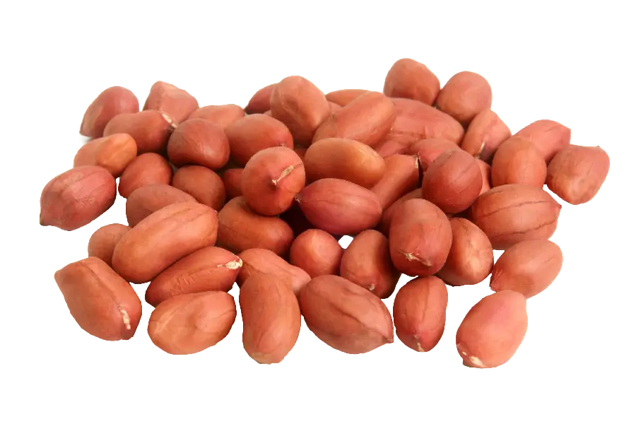 Photo of healthy peanuts with skin in free png format 