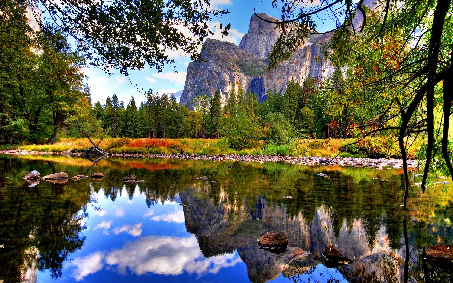 Beautiful quality nature images for printing decorative panels and posters