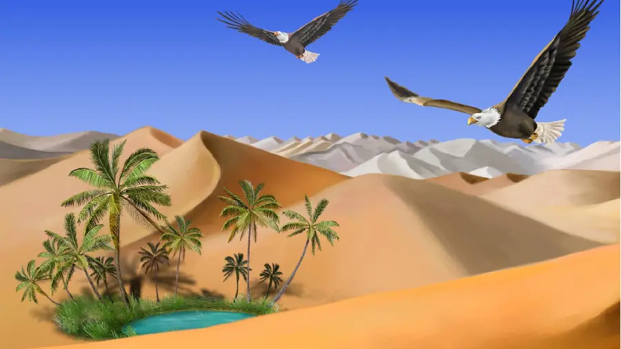 Full HD frame of magnificent flight of eagles in the desert above the pond and palm trees