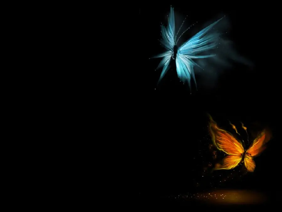 Amazingly beautiful photo of butterflies Green blue and orange 
