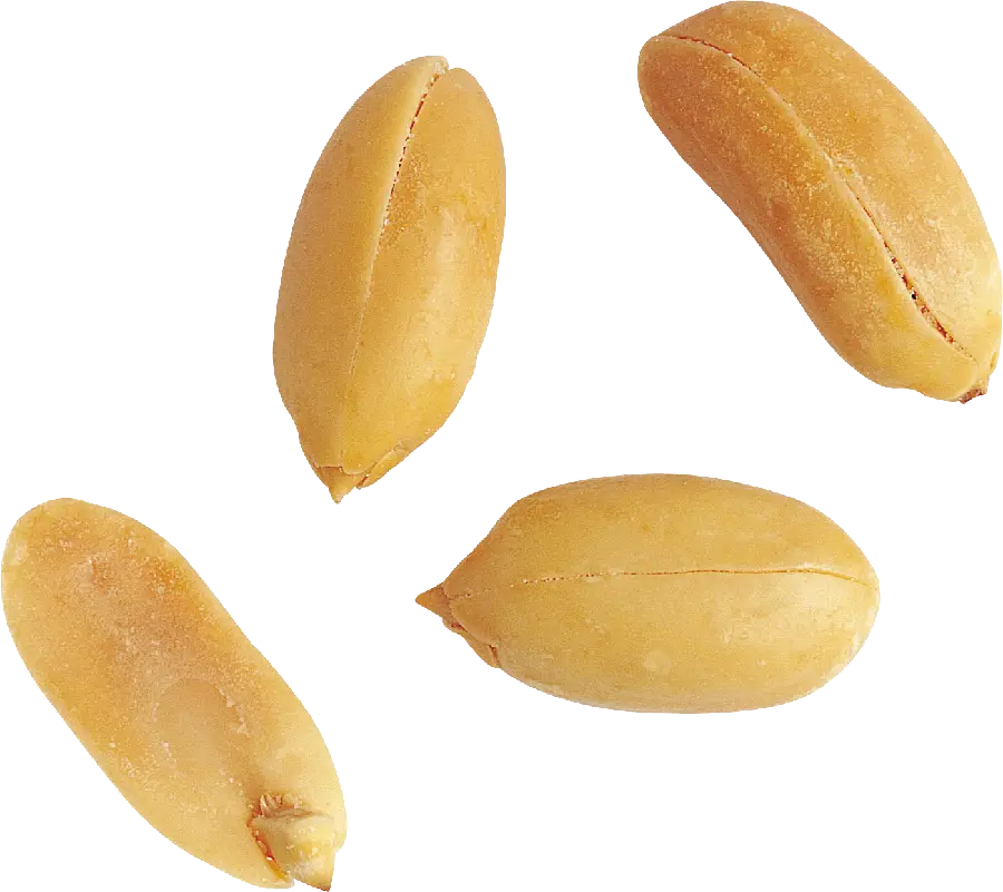Close-up photo of some raw peanuts