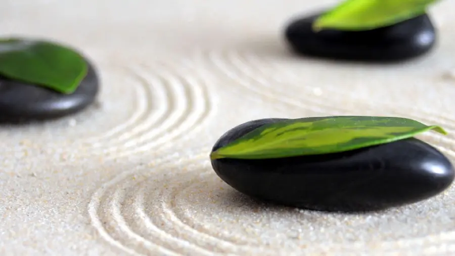 Wallpaper of sand, stones and green leaves in a Zen garden for lovers of this school