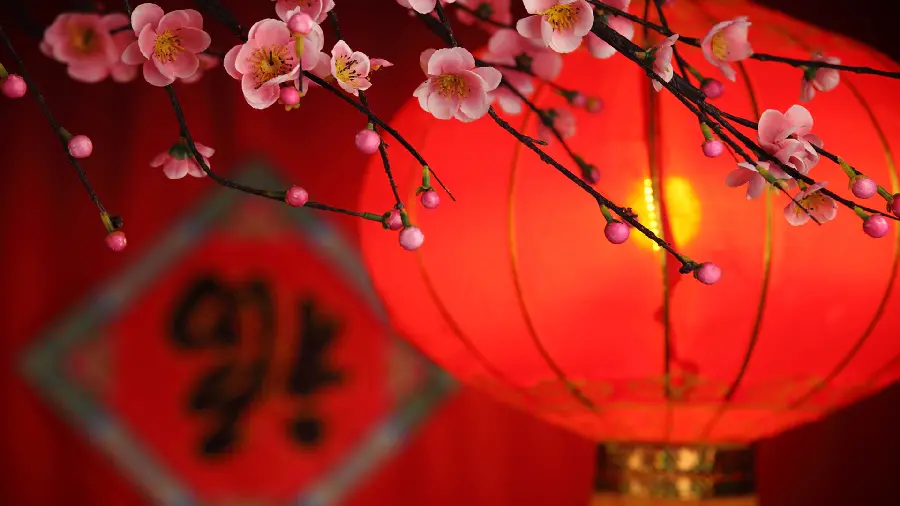 Chinese red profile photo of a lantern next to spring blossoms
