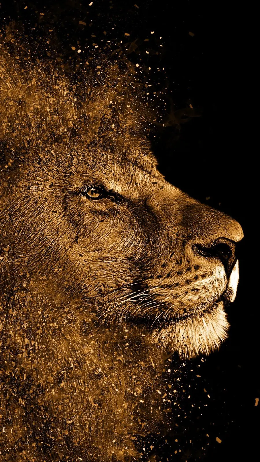 Full Download Mobile Background of a Powerful and Wild Forest Lion