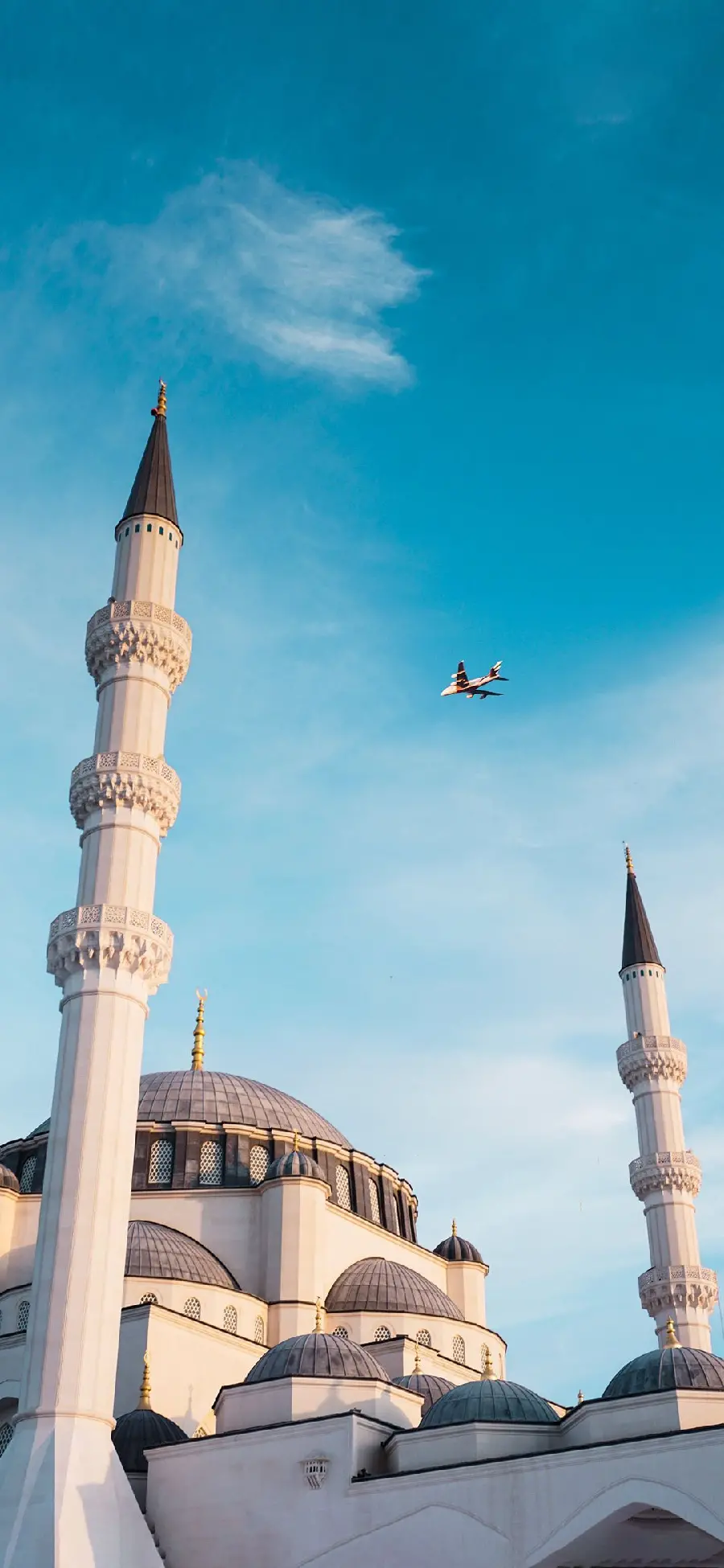Amazing and beautiful background of the mosque with a beautiful bird above it