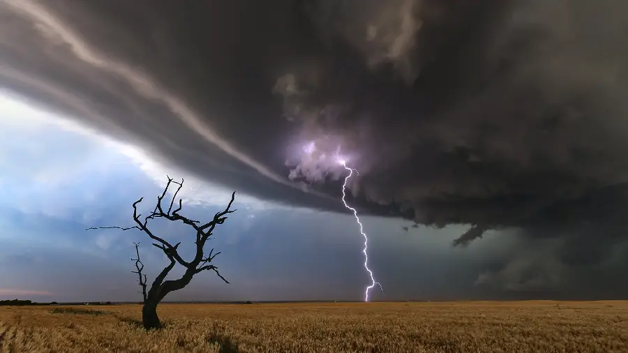 Strange and spectacular photo of lightning in a large plain