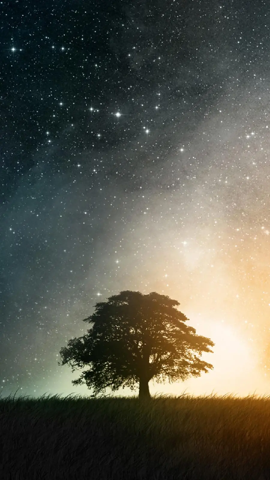  Amazing background of a lonely tree with a beautiful sky full of stars 