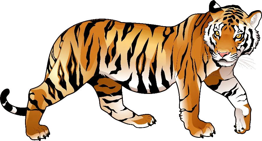 The latest high-resolution full-color PNG tiger image 