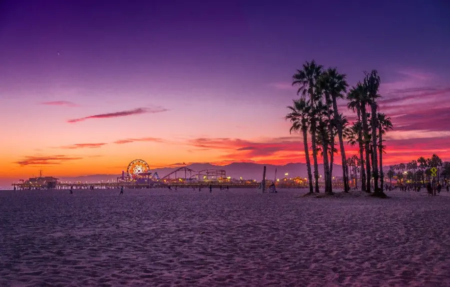 Profile photo of the most spectacular scene of palm trees on the sandy beach away from the amusement park in Los Angeles, USA