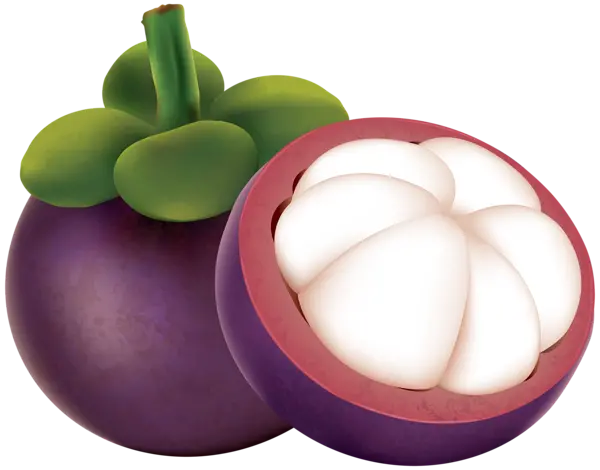High Quality Stock PNG Image of Targil Fruit Ready to Print