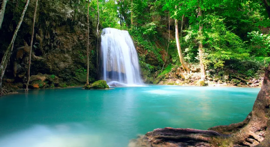 High-quality background photo of pristine nature and a unique waterfall