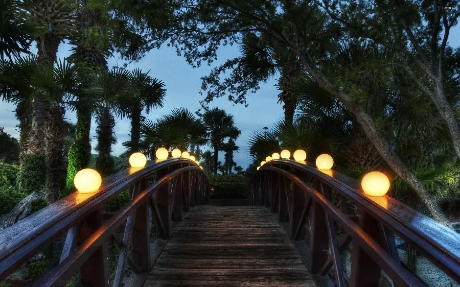 Download a beautiful view of a wooden bridge and a bunch of lanterns in a palm grove