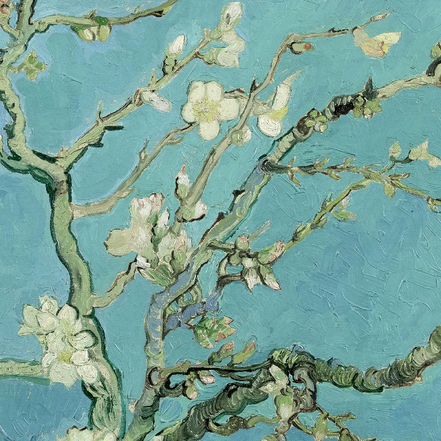 Free and Full HD download of Vincent Van Gogh's Blossoms painting
