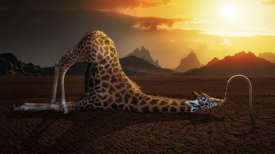 Free and edited fantasy and animation wallpaper with high quality 