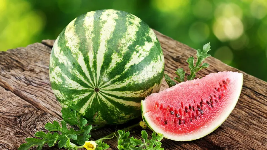 High quality and free watermelon stock photo