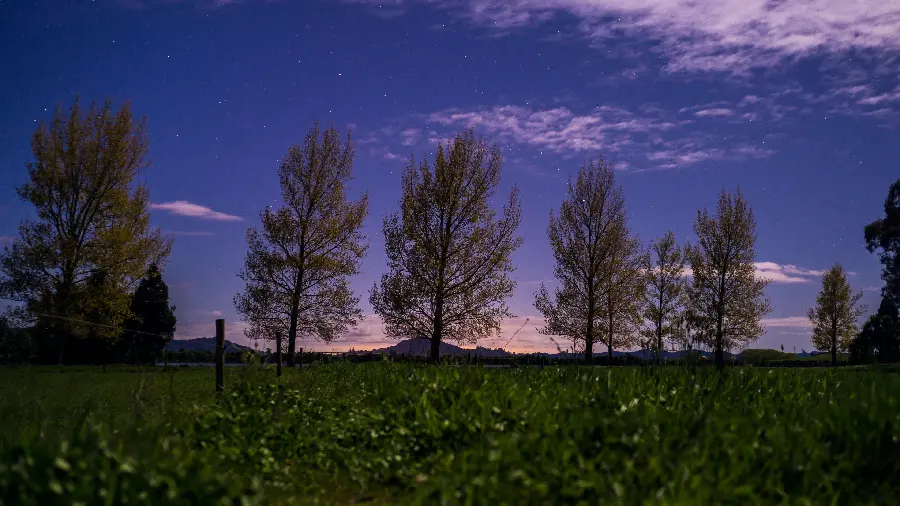 The most striking image of nature with a dreamy sky and a chic background