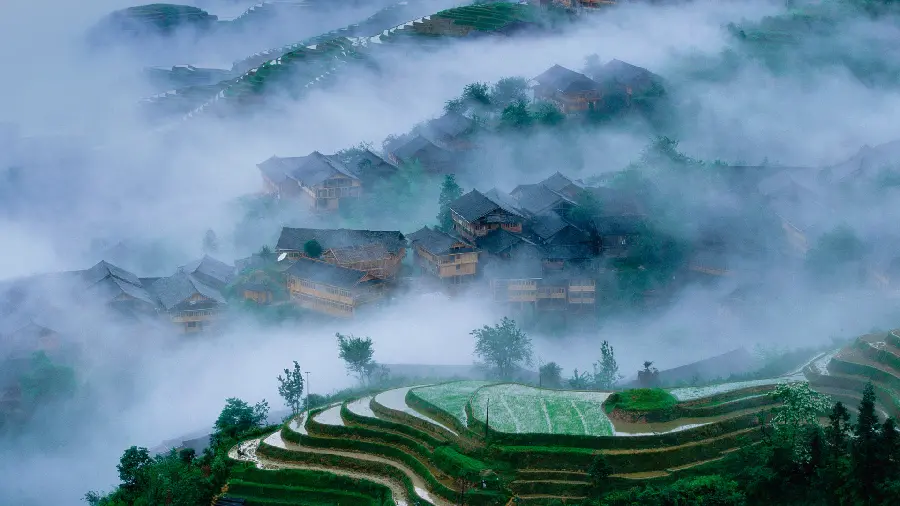 A foggy wallpaper of a strange nature next to old houses