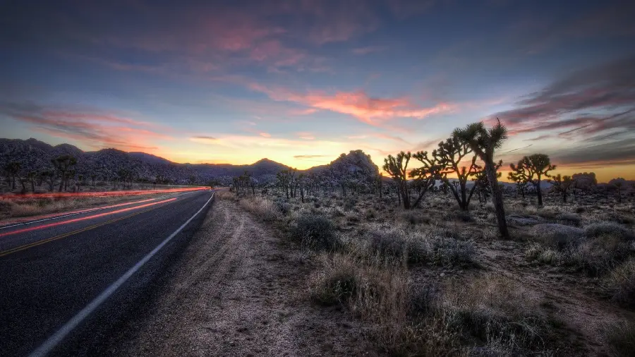 Photo of a desert on the side of the road with useful and unique desert plants 
