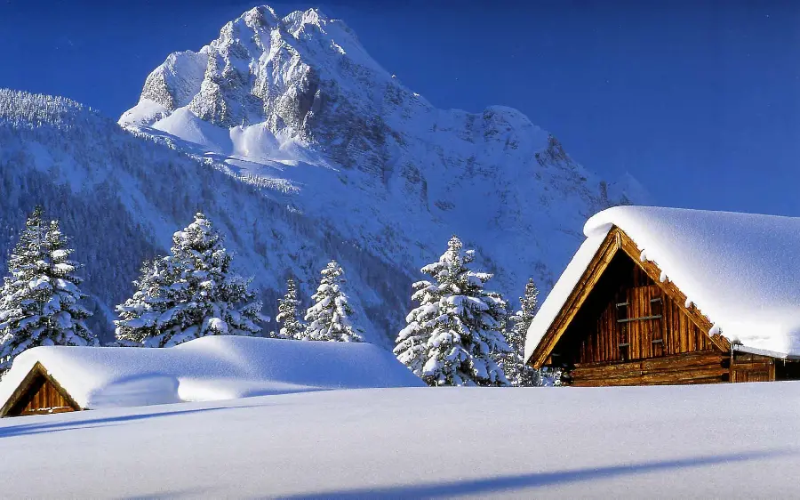 A very beautiful photo of a wooden hut in a snowy forest in excellent quality 