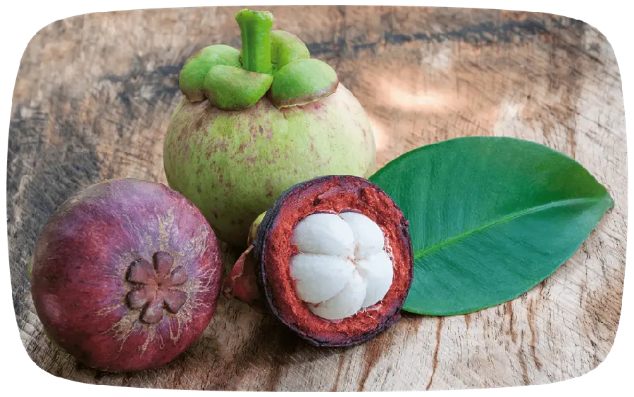 Clear and Telephoto Image of Tangelo Fruit with the Best Background