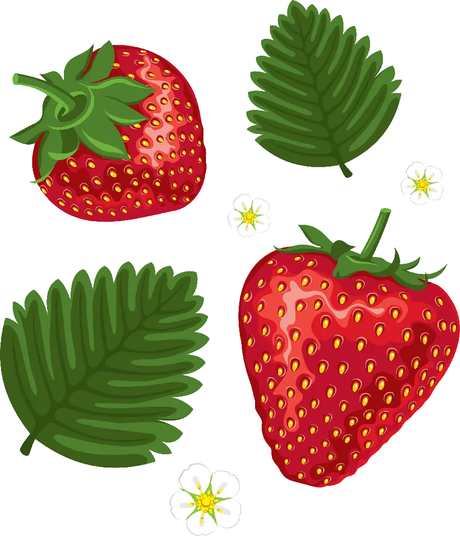 Interesting and beautiful photo of graphic strawberries with beautiful leaves